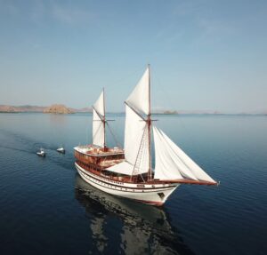 IMG-20260121-WA0001(1)