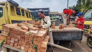 IMG-20260122-WA0028-1