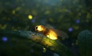 Screenshot_20260122-101759