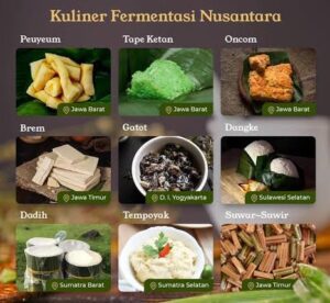 IMG-20260203-WA0014-1