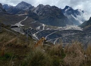 Screenshot_20260205-232301