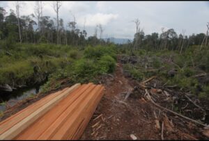 Screenshot_20260220-230357