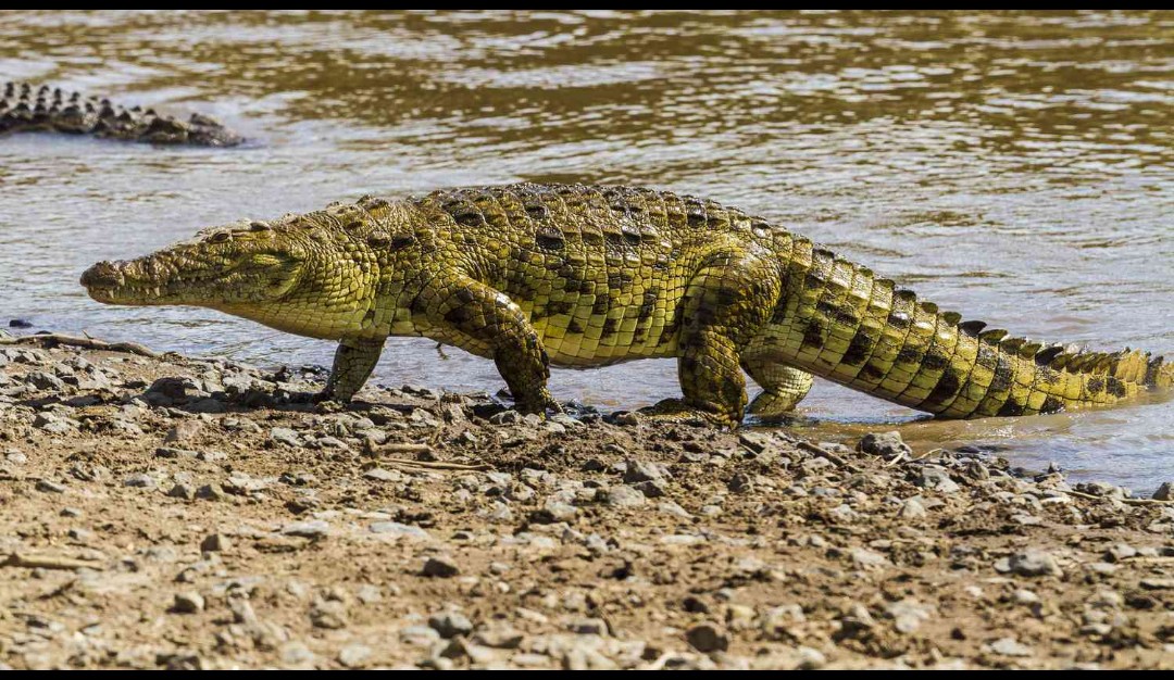 Screenshot_20260305-115246