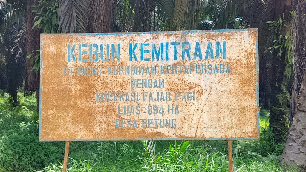 IMG-20260425-WA0010(1)