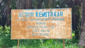 IMG-20260425-WA0010(1)